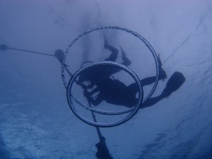P4072338