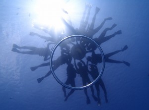 P4163042
