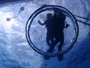 P4233573