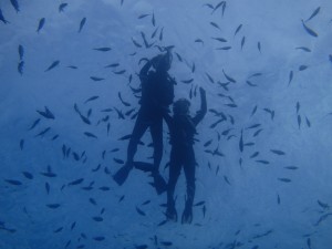 P5010145
