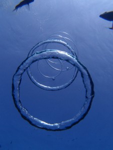 P5023501