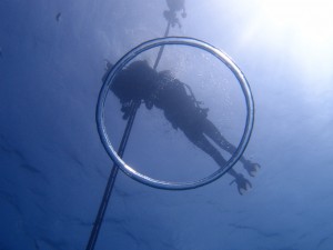 P5023590