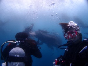 P5033778