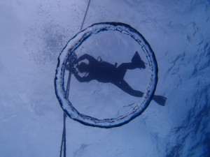 P5054010