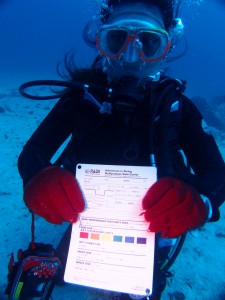 P5064106