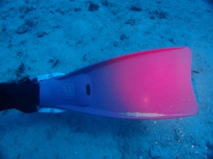 P5064110