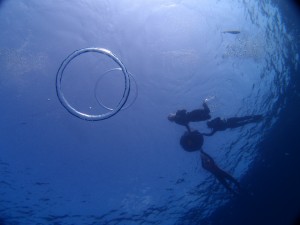 P5064231