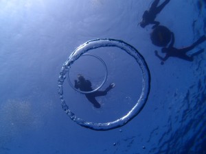 P5064235