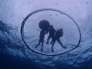 P5134519