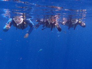 P5164649