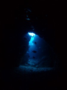 P5205050