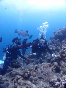 P5205090