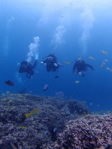 P5245258