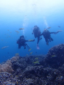 P5245264