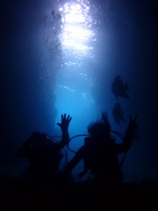 P5275390