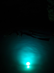 P5295669