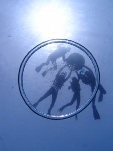 P6055931