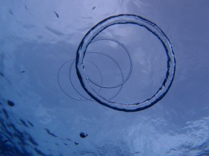 P6076034