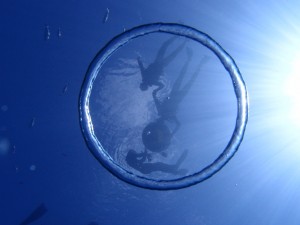 P6096096