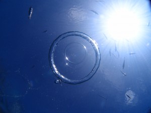P6166735