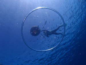 P6186906