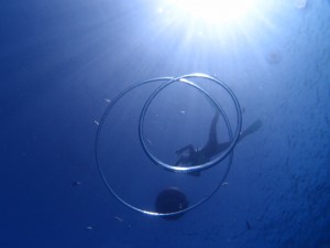 P6186919