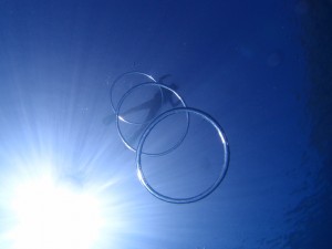 P6186922