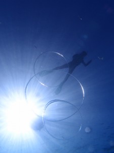 P6186927
