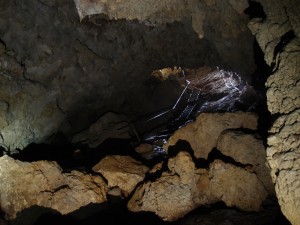 P6197034