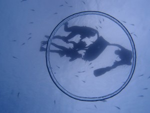 P6237300
