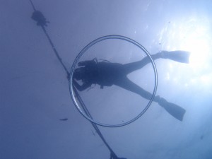 P6237413