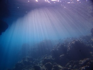 P6257433