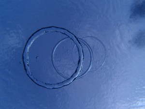 P6287626