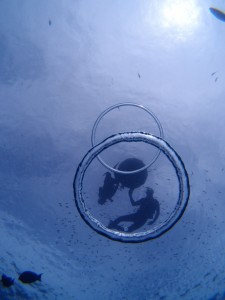 P7037762