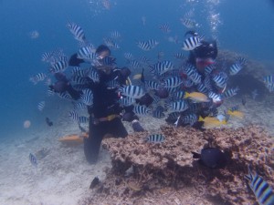 P7047991
