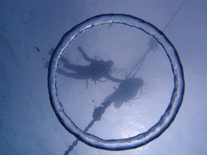 P7048005