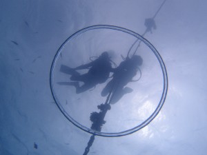 P7048008