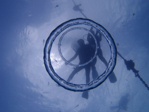 P7058063