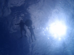 P7068153