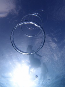 P7068185