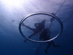 P7088303