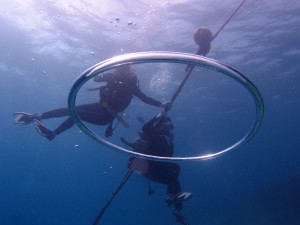 P7088304