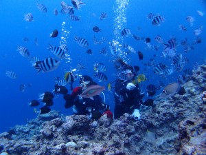 P7178660