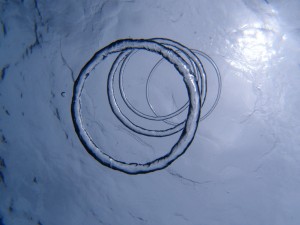 P7218965
