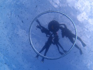 P7228996