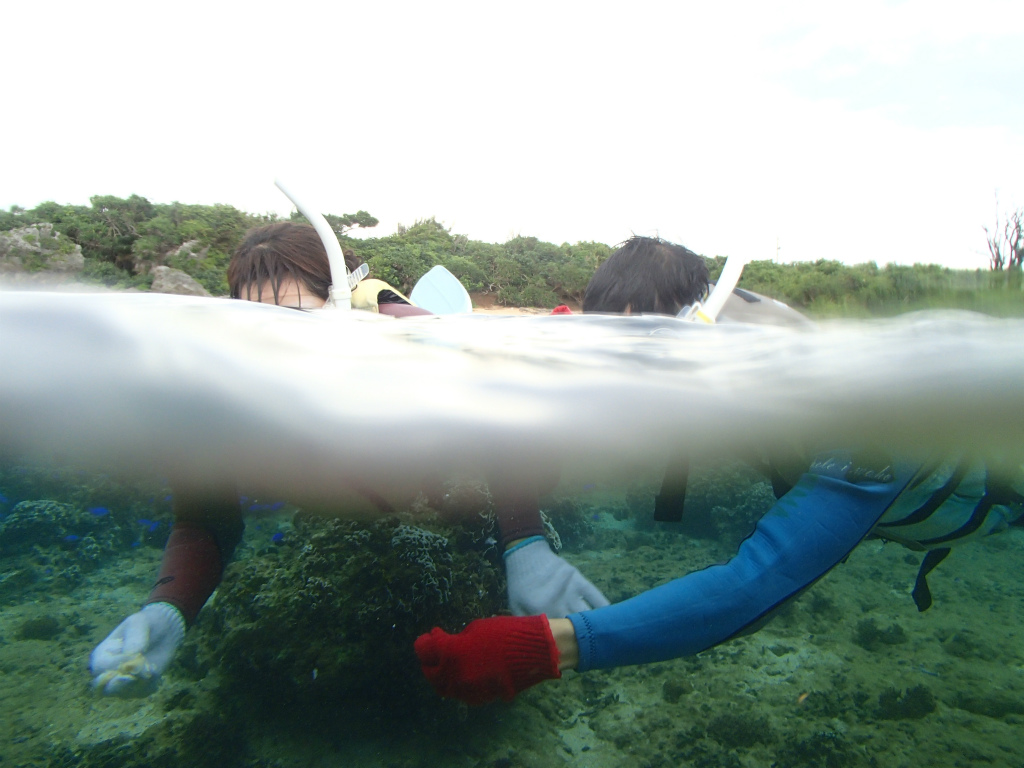 沖縄ダイビング＆シュノーケル☆7/26