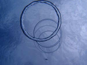 P7269155