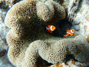 P7289563