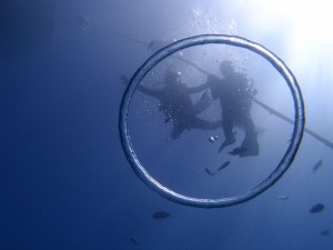 P7289570