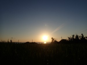 P7290001